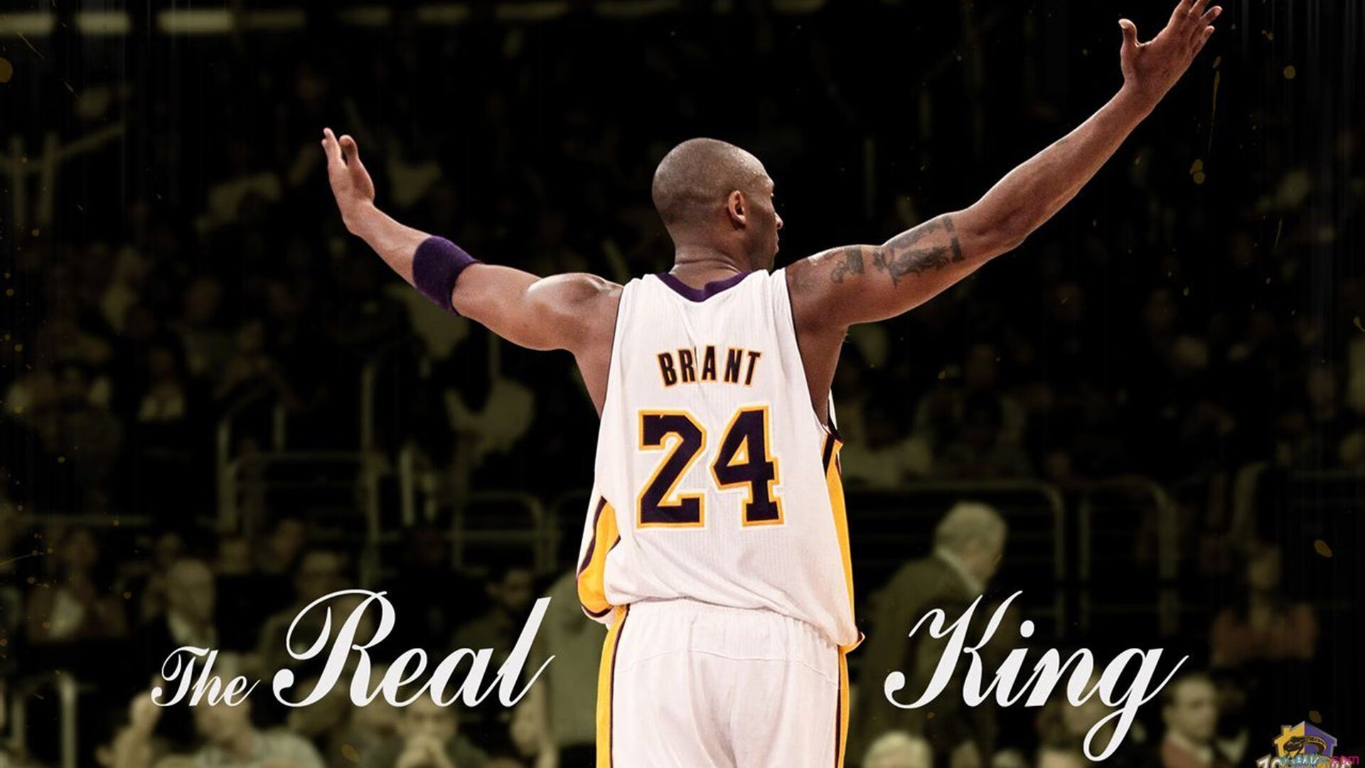 中国跳水队再创辉煌,包揽世锦赛全部金牌